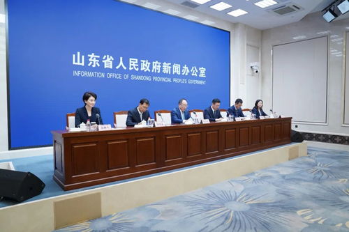 以“一業一策”精準施策，賦能湛江軟件開發拓寬國際市場新格局——答記者問